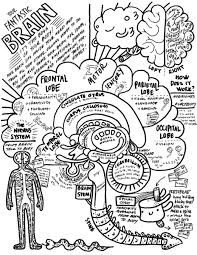 Free Brain Coloring Page Teaching Biology Brain Anatomy Anatomy Coloring Book