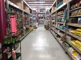 Augustine, florida in 2002, pet paradise resort and day spa® is now located in nine states. Emeryville Pet Club