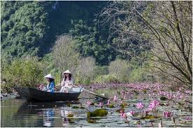 Image result for Nón Lá Chèo Ghe
