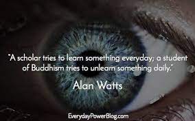 Pin Di Donniedondonald