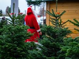 We did not find results for: Find A Live Christmas Tree In Maryland How To Keep Tree Fresh Annapolis Md Patch