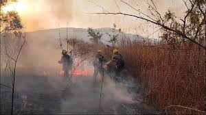 images?q=tbn:ANd9GcQUZbEEI9vQSkD0Fo7vi8J308adNwMk5t285w&s