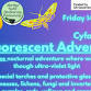 Biofluorescent Adventure - Cyfarthfa Castle Museum and Art Gallery, Cyfarthfa Park, Brecon Rd Event Image