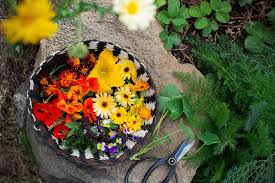 20 Edible Flowers You Can Grow in Your ...