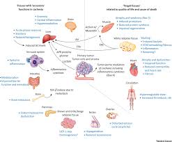 In people with cancer, weakness might be caused by having and recovering from surgery, low blood counts or low electrolyte (blood chemistry) levels, infection, or changes in hormone levels. Cancer Cachexia More Than Skeletal Muscle Wasting Trends In Cancer