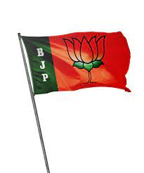 Bjp flag motion effects graphics effects motion effects. Bjp Flag Bharatiya Janata Party Free Png Images Vector Psd Clipart Templates