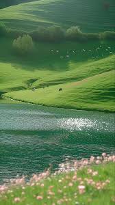 Melody Wen (melodywen)