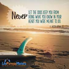 Excellence Can Be Obtained If You Care More Than Others Think Is Wise Risk More Than Others Think Is Safe Dream More Than Ot Let It Be Life Purpose Meant To