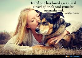 Until one has loved an animal a part of one's soul remains unawakened. Until One Has Loved An Animal A Part Of One S Soul R Anatole France Quote