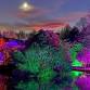 Festive Lights at Biddulph Grange Garden event image