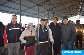 Cavdir Canli Hayvan Pazari Nda Bu Hafta