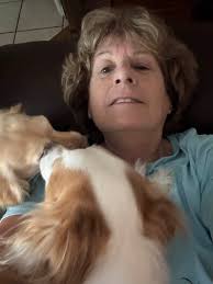 Knee replacement recovery after 4 weeks