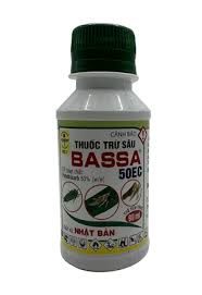 Bassa 50EC