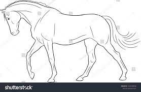 White horse more information download horse wallpaper hd images for your 4k uhd, 5k, 8k ultra hd desktop background monitors, android mobiles, apple iphone, laptop scr. A Sketch Of A Horse Walking Freely Horse Sketch Horse Painting Horse Drawing Tutorial