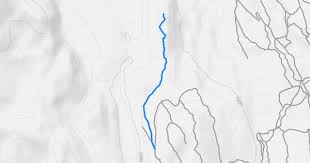 Pete Ridge Mountain Biking Trail