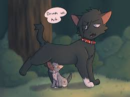 Ashfur Warriors Rule 34 - Obsessive Feline Acts