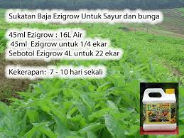 Hasil guna baja ezigrow untuk rawat pokok lada | baja foliar ezigrow. Baja Foliar Ezigrow Vitamin Setiap Tanaman Apa Itu Baja Foliar Ezigrow