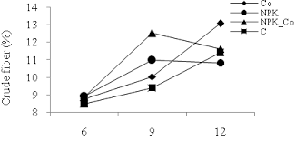 Image result for Justicia tenella