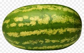 Watermelon Png Image Watermelon With No Background Clipart 559872 Pikpng 25,000+ vectors, stock photos & psd files. watermelon png image watermelon with