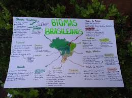 biomas brasileiros bioma brasileiro biomas escola digital