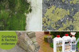 Terrasse Algen Moose Schimmel Stockflecken Flechten Entfernen Natursteinpflege24