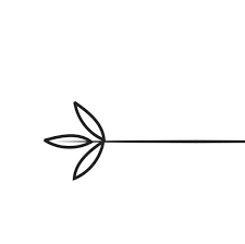 Artsy Instagram Theme Dividers Black And White 12 New Instagram Feed Dividers To Make Your Feed Super Pretty And Organized Lu Amaral Studio In 2020 Instagram Spacers Theme Dividers Instagram Instagram Feed Ideas