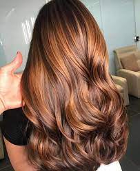 The Mesmerizing Apple Cider Hair Color Is Trending For Fall Fashionisers C Hair Styles Hair Color Auburn Honey Brown Hair
