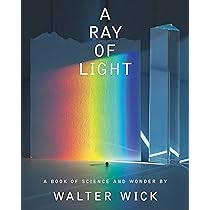 Walter Wick's Optical Tricks: Wick, Walter, Wick, Walter: 9780439855204:  Amazon.com: Books