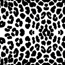 Black And White Cheetah Print Fabric Colorful Fabrics Digitally Printed By Spoonflower White Leopard Cheetah Wallpaper White Leopard Cheetah Print Background