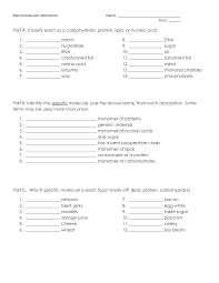 macromolecules worksheet answer key