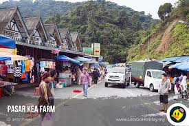 3) hotel kami bersebelahan dengan pasar kea farm. Cameron Highlands Attractions C Letsgoholiday My