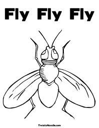 Fly Fly Fly Coloring Page Coloring Pages Bug Coloring Pages Coloring Pages For Boys