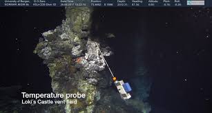 Loki's castle (lokeslottet), soria moria and trollveggen are the names given to the hydrothermal vents discovered by the uib researchers in 2005 and 2008. Microbiologists Propagated Our Oldest Ancestor Sciencehubble