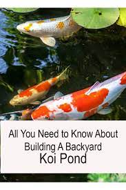Pin On Landscape Ideas