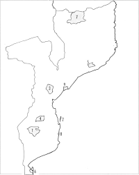 Image result for Bivinia jalbertii