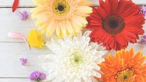 Jun 03, 2014 · thank you for visiting — please tell me how you are using the sing the word bible verses from a to z in your homeschool! 11 Encouraging And Hopeful Bible Verses About Spring Kingdom Bloggers