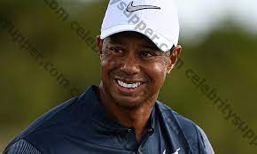 Richest golfer tiger woods 'vermögen beträgt $ 800 millionen. Tiger Woods Vermogen Vermogen Haus Auto Alter Grosse Frau Kinder Dating Freundin Billigung Gehalt Biografie Kann 2021