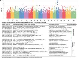 Host genotype, soil composition, and geo-climatic factors shape the fonio  seed microbiome