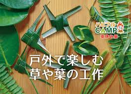 風車 魚 バッタ 草で作ってみよう 身近な植物で工作 Fun Okinawa ほーむぷらざ