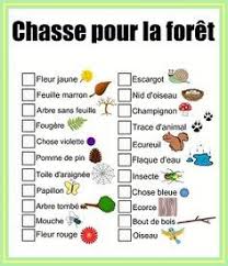 Chasse Au Tresor De Balade A Imprimer Gratuitement Chasses Au Tresor Nature Chasse Au Tresor Chasse