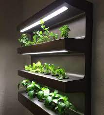 App Assisted Educational Gardens Indoor Vegetable Gardening Herb Grower Indoor Herb Garden