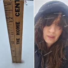 Sherry Anne (@DrSherryAnne)