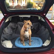 And if you want it to look more factory finished, i grabbed $5 worth of automotive grey carpet from the trunk of a car at a junkyard and cut it to fit, then used contact cement to stick it in. Review Cargo Cover For Transporting Pets In The Model S