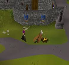 First Ever Cooking Pet I M Literally Shaking Old School Runescape Shakes Pets