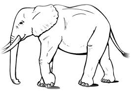 Elefanten bilder zum ausmalen kostenlos ausdrucken malvorlagen & die besten tiere ausmalbilder gratis online downloaden. Elefan Malvorlage Coloring And Malvorlagan
