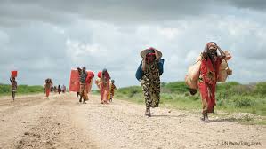 Resultado de imagen para Addressing Forced Displacement through Development