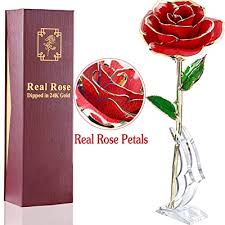 We did not find results for: Buy Amenon Valentines Day Gift 24k Gold Dipped Rose Real Rose Anniversary Gifts For Her Everlasting Rose For Mom Wife Women Wedding Proposal Birthday Presentswith Moon Stand Gift Box Online In Thailand