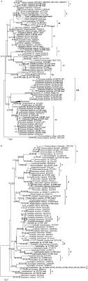 Frontiers Differences In The Cyanobacterial Community