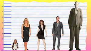 How Tall Is Jennifer Coolidge? - Height Comparison! - YouTube