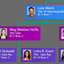 Responsive Organization Chart Html Css Www